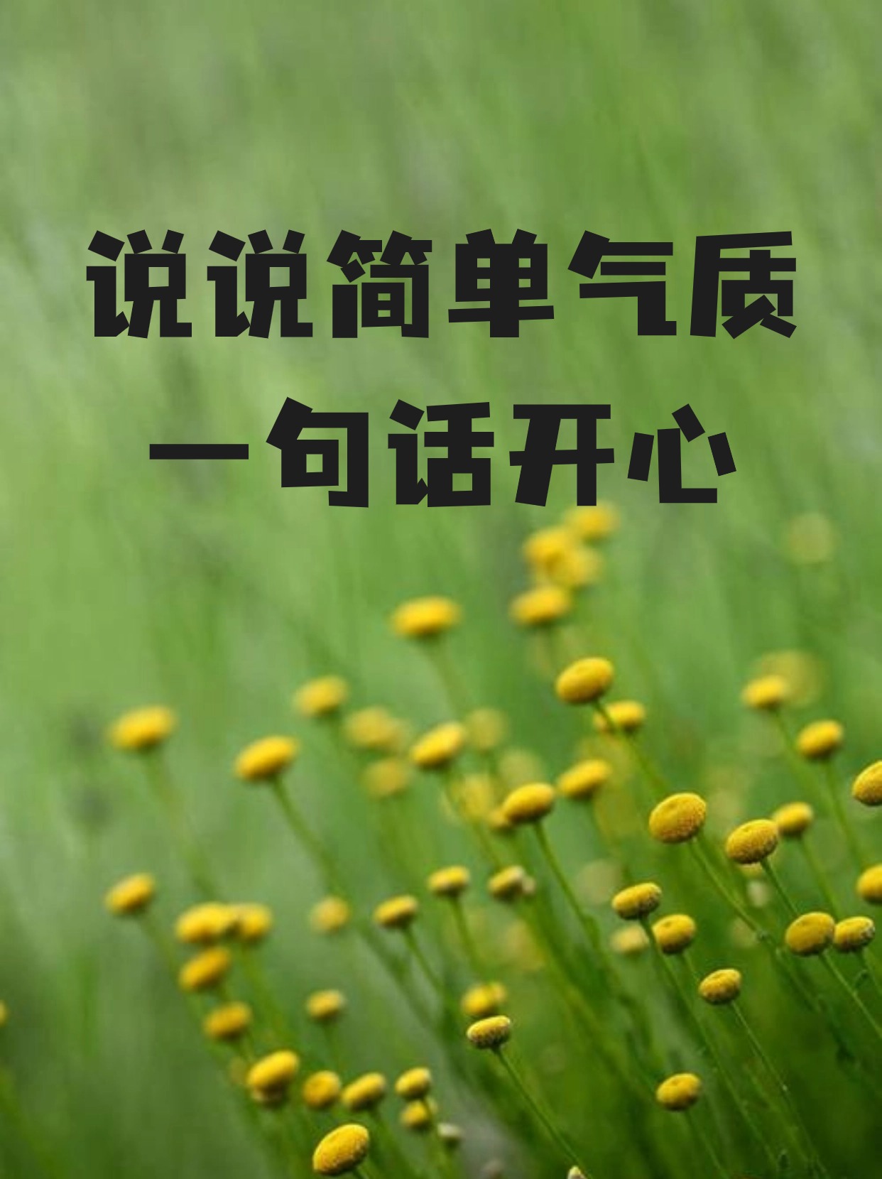 说说简单气质一句话开心