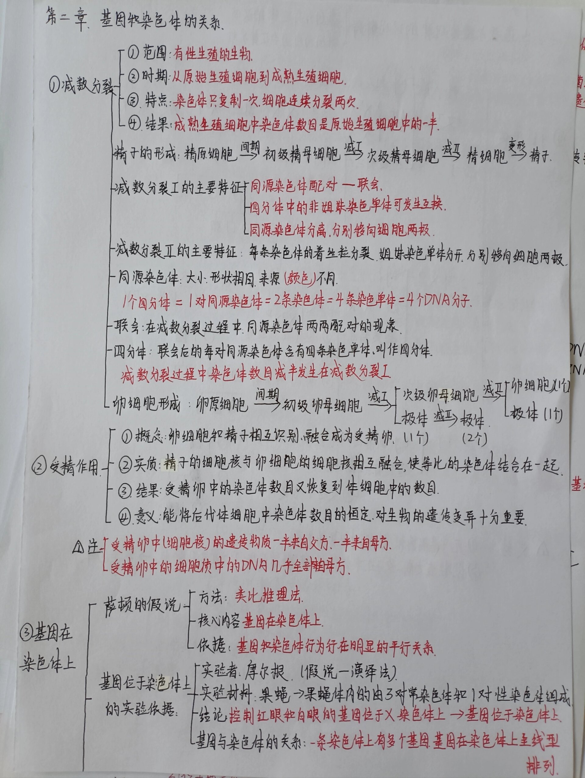 高一生物必修二第二章思维导图 第二章 基因和染色体的关系