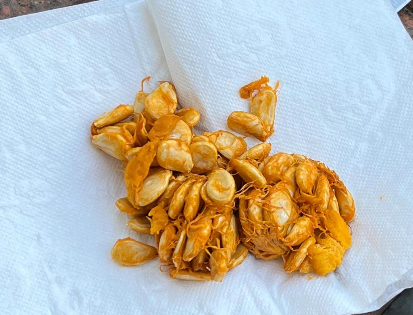 贝贝南瓜挖下来的籽可以种出来吗?