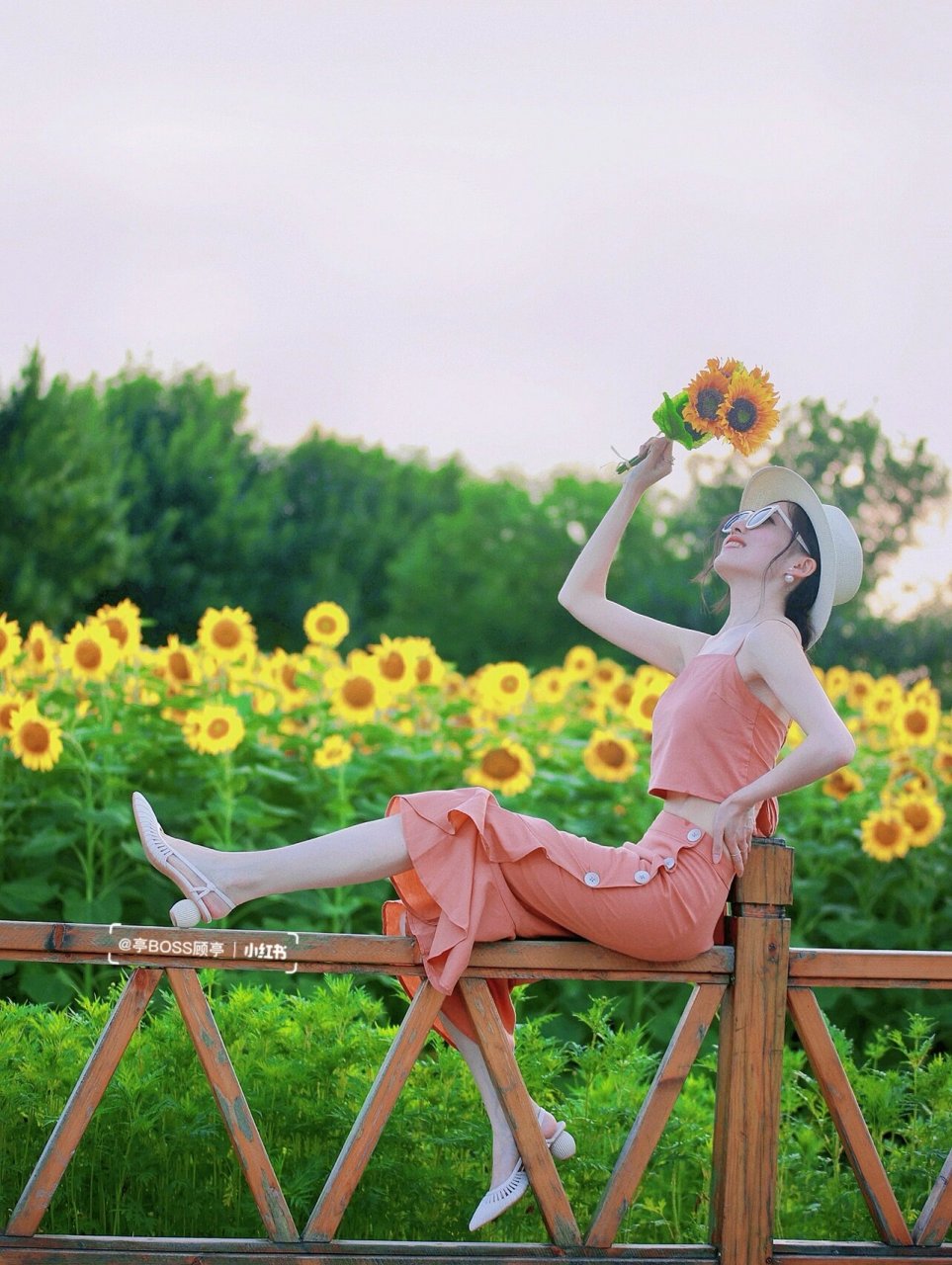 北京夏天必打卡97|奥森向日葵拍照姿势详解 向日葵就是7月的一首诗