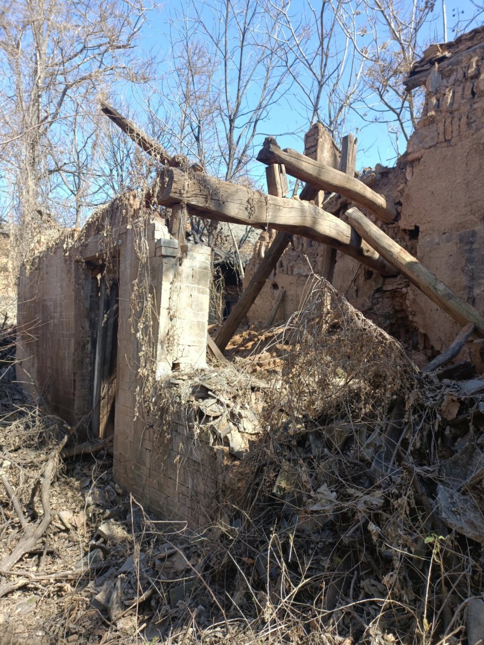 无人村图集(一)