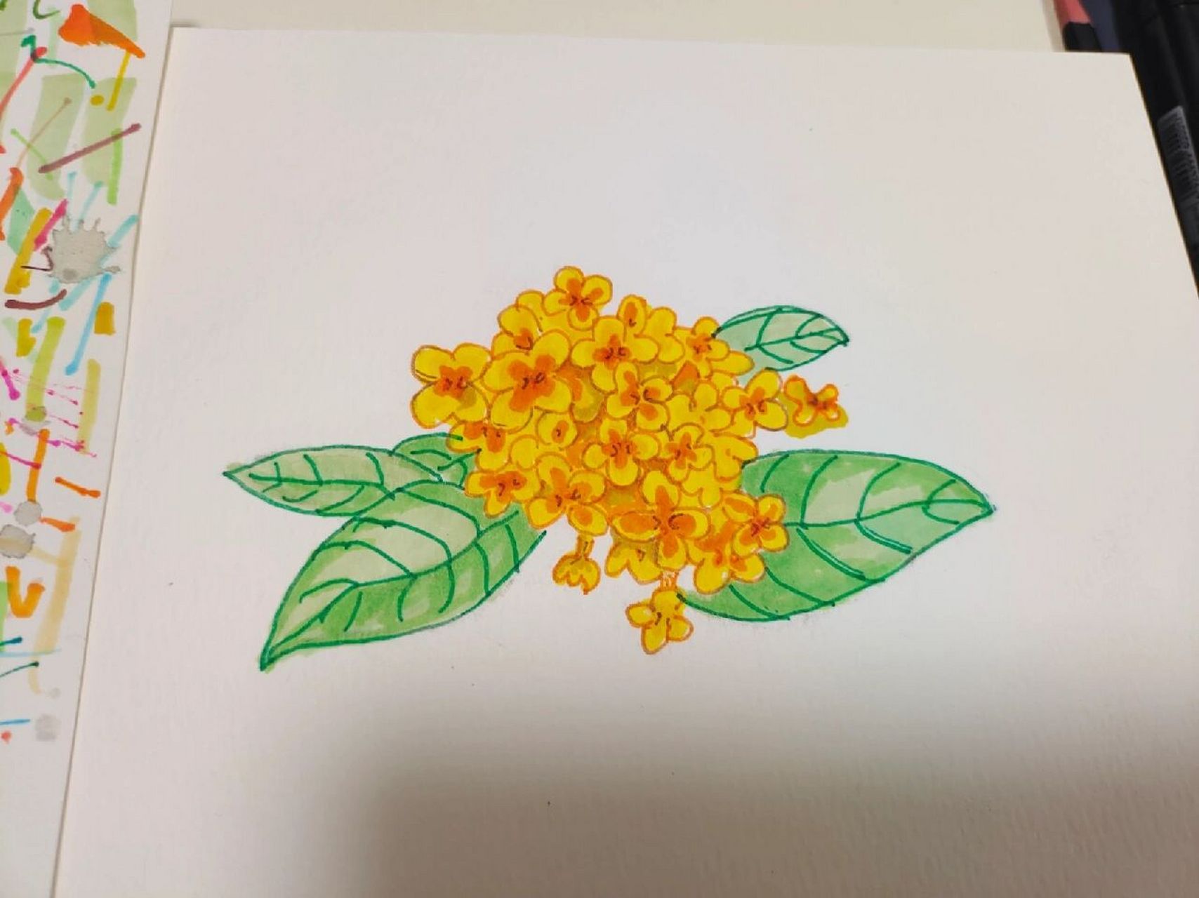 马克笔桂花书签临摹 菜鸟学习,从第一步开始偏移,差距好大努力! 96