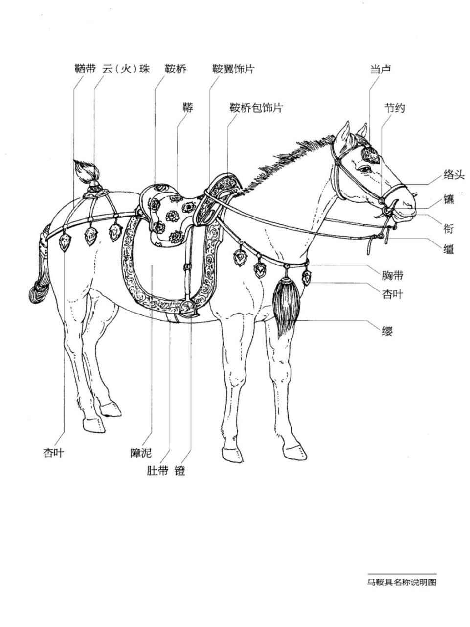 汉语中的雅致马具名称(含車) 似风似龙 中国古人从不吝啬将最美好的词