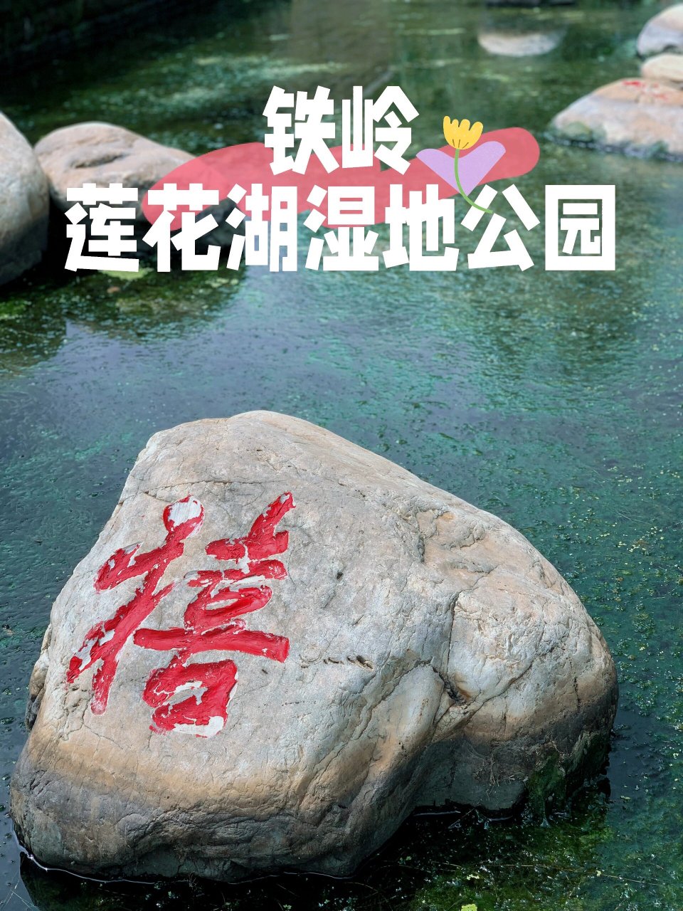 铁岭莲花湖风景区官网图片