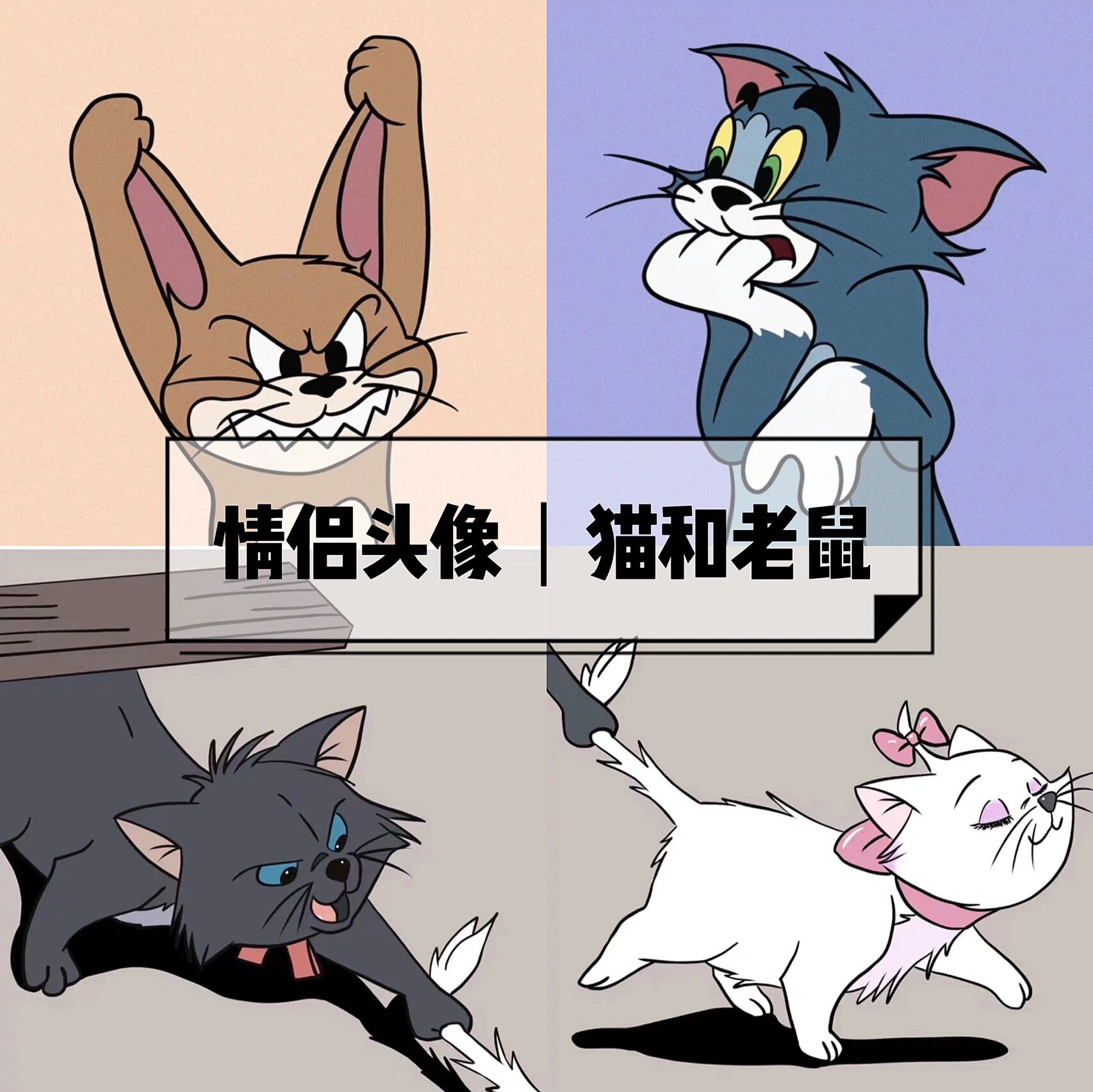 搞怪沙雕猫和老鼠汤姆&杰瑞情头|别来无恙96