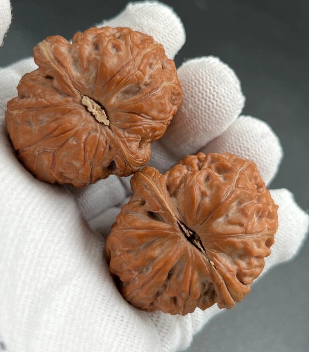 全品平谷元宝狮子头文玩核桃粗筋红皮山地果满肉精配42尺 全品无修