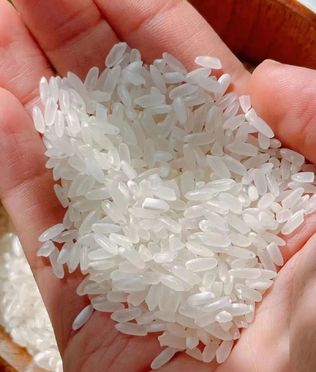 但要是 五常大米的腹白为什么会造成白点的情况?