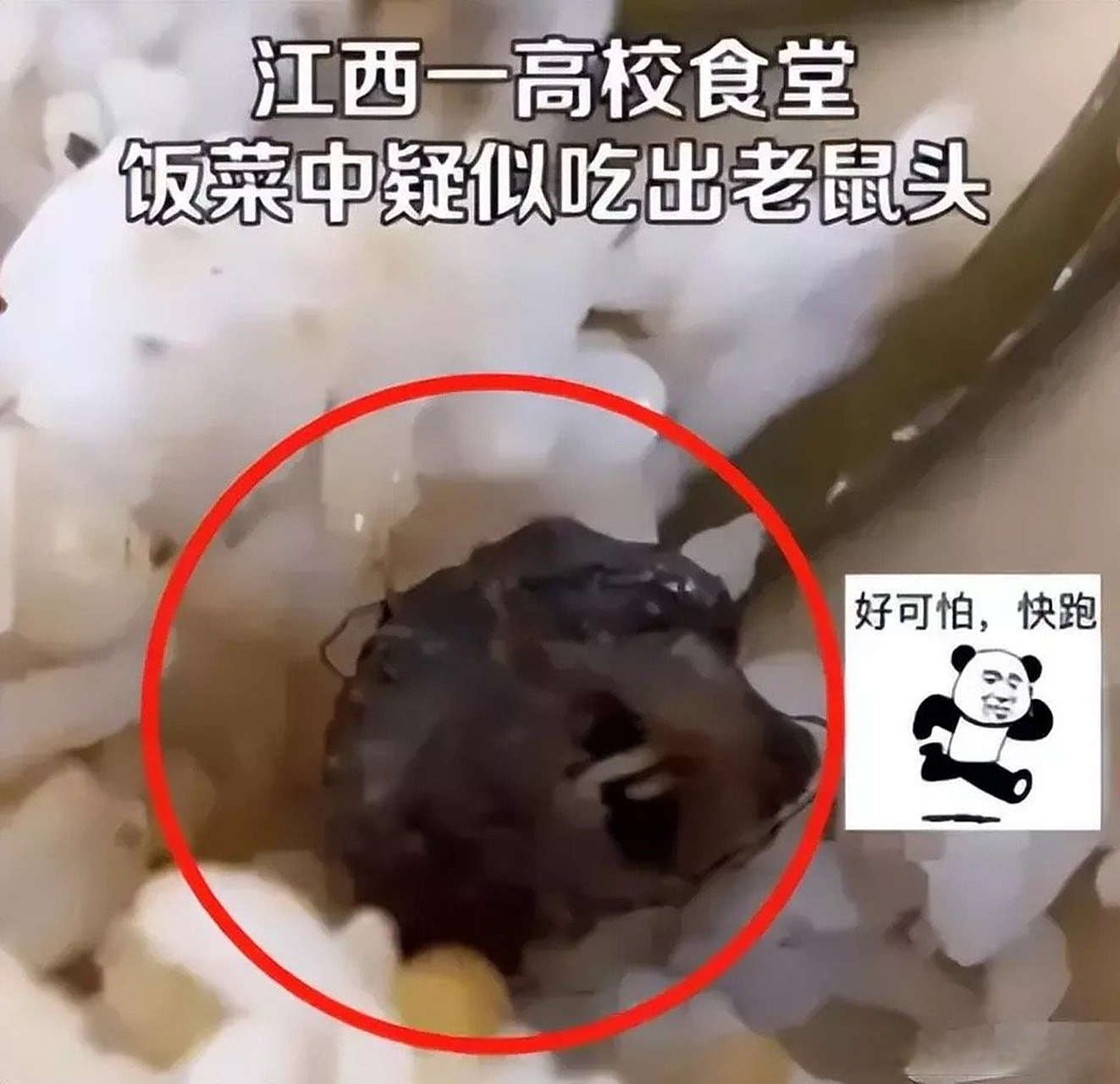 江西高校鼠头鸭脖事件终于尘埃落定,经过多方权威机构监督鉴定为鼠头