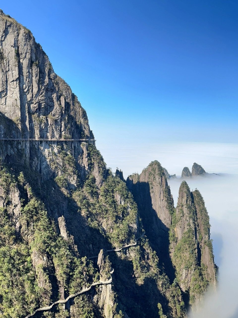 莽山五指峰景区06直通车四月开始运营啦!