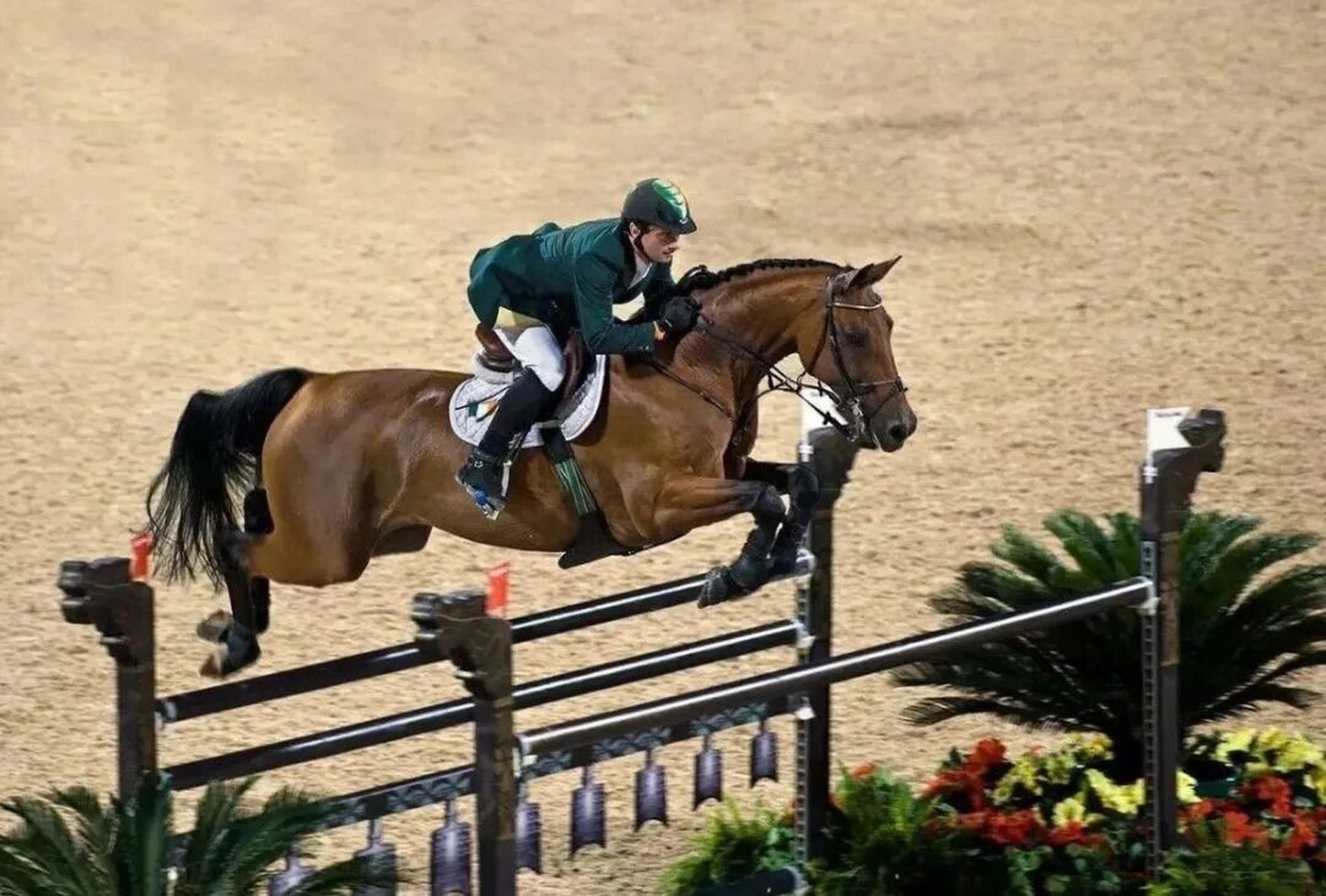 "名马赏析"雄伟自信的全能手——汉诺威温血马 汉诺威马是彻底的德国