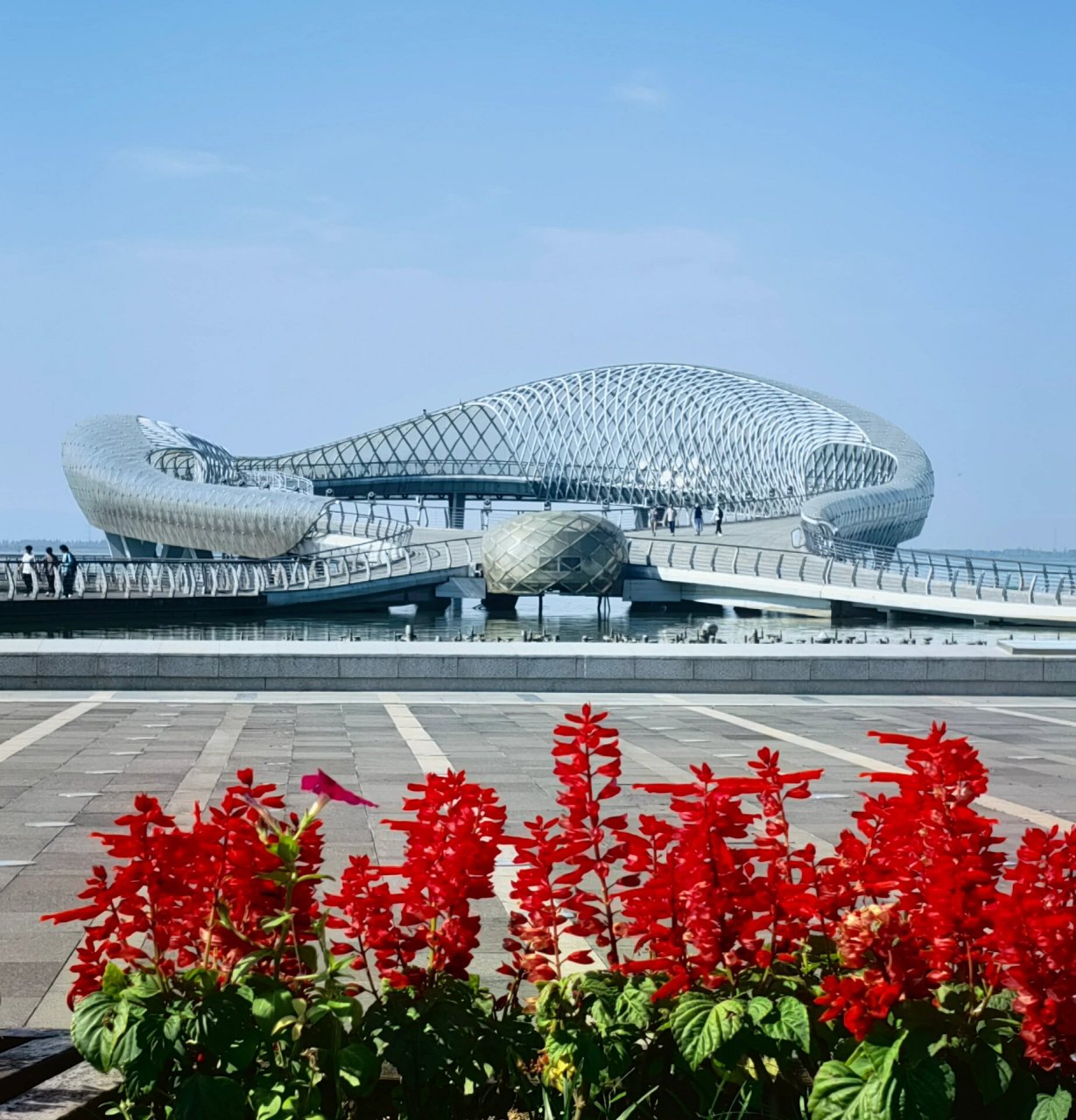 吴江东太湖生态园 吴江东太湖生态公园,秋游的好去处!