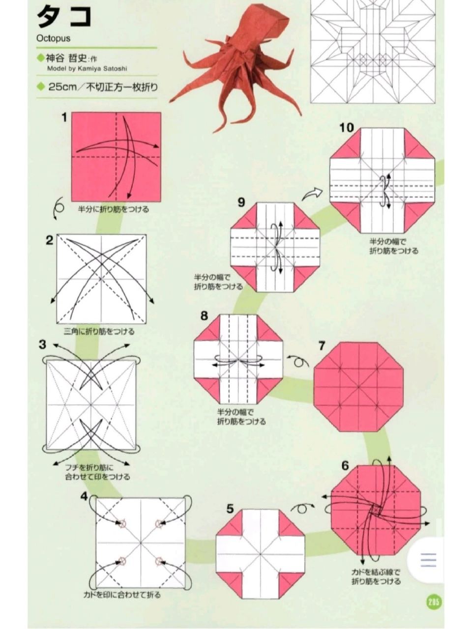 章鱼折法图片