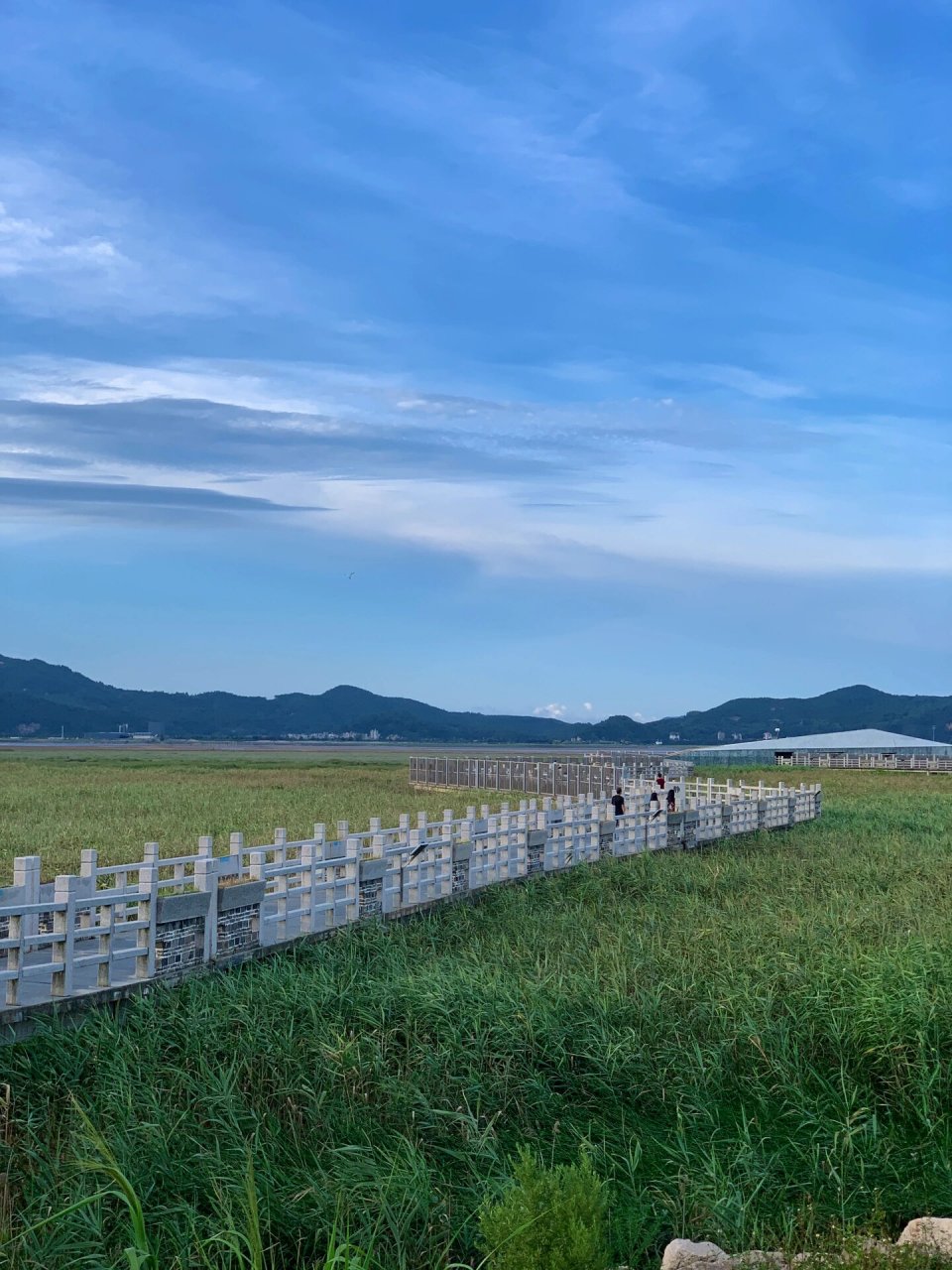 99闽江河口湿地公园!