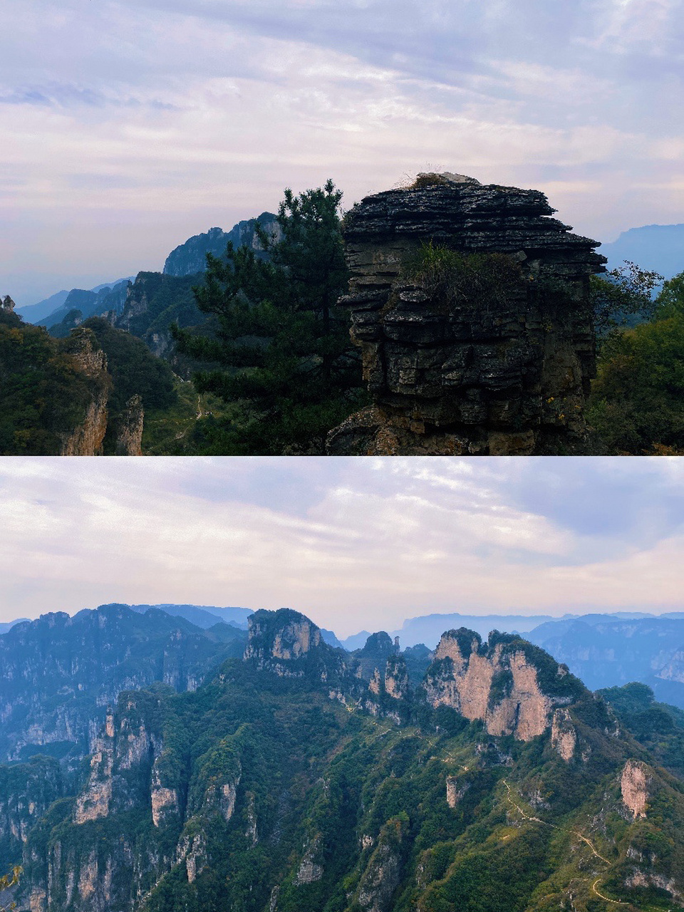 我的家乡|王莽岭7215 05景区简介 王莽岭景区位于山西省陵川县