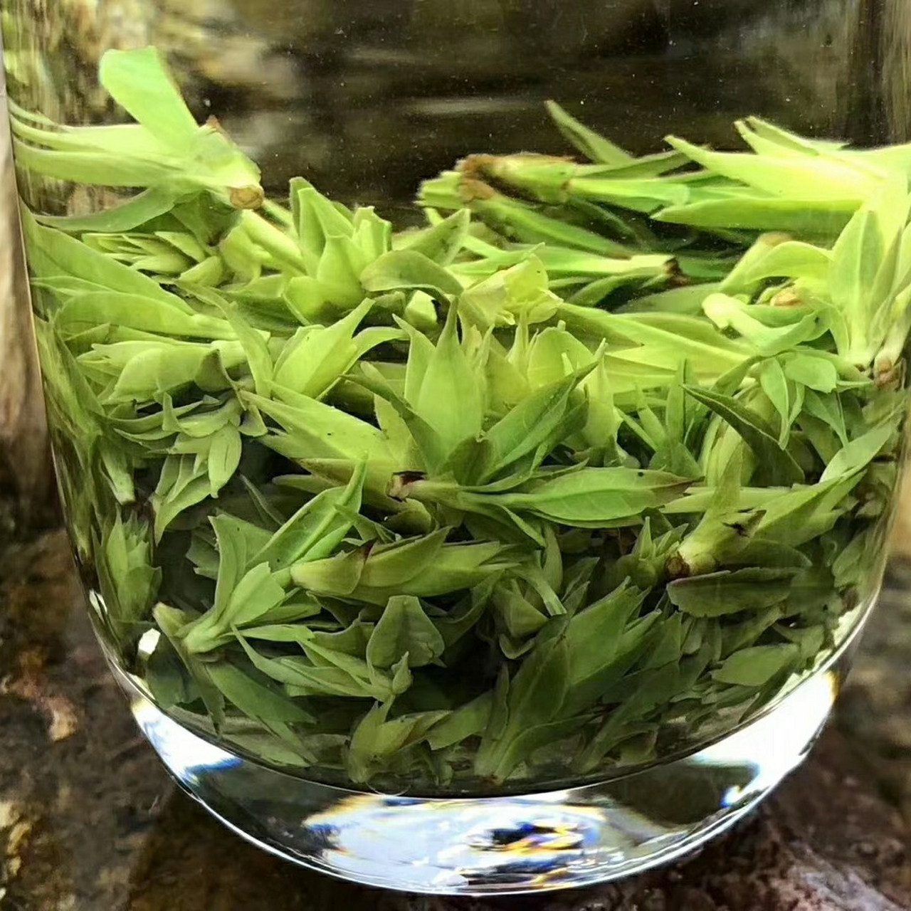 2019新茶【青山绿水】也称为小叶苦丁,产于四川峨眉山,外形翠绿,汤色