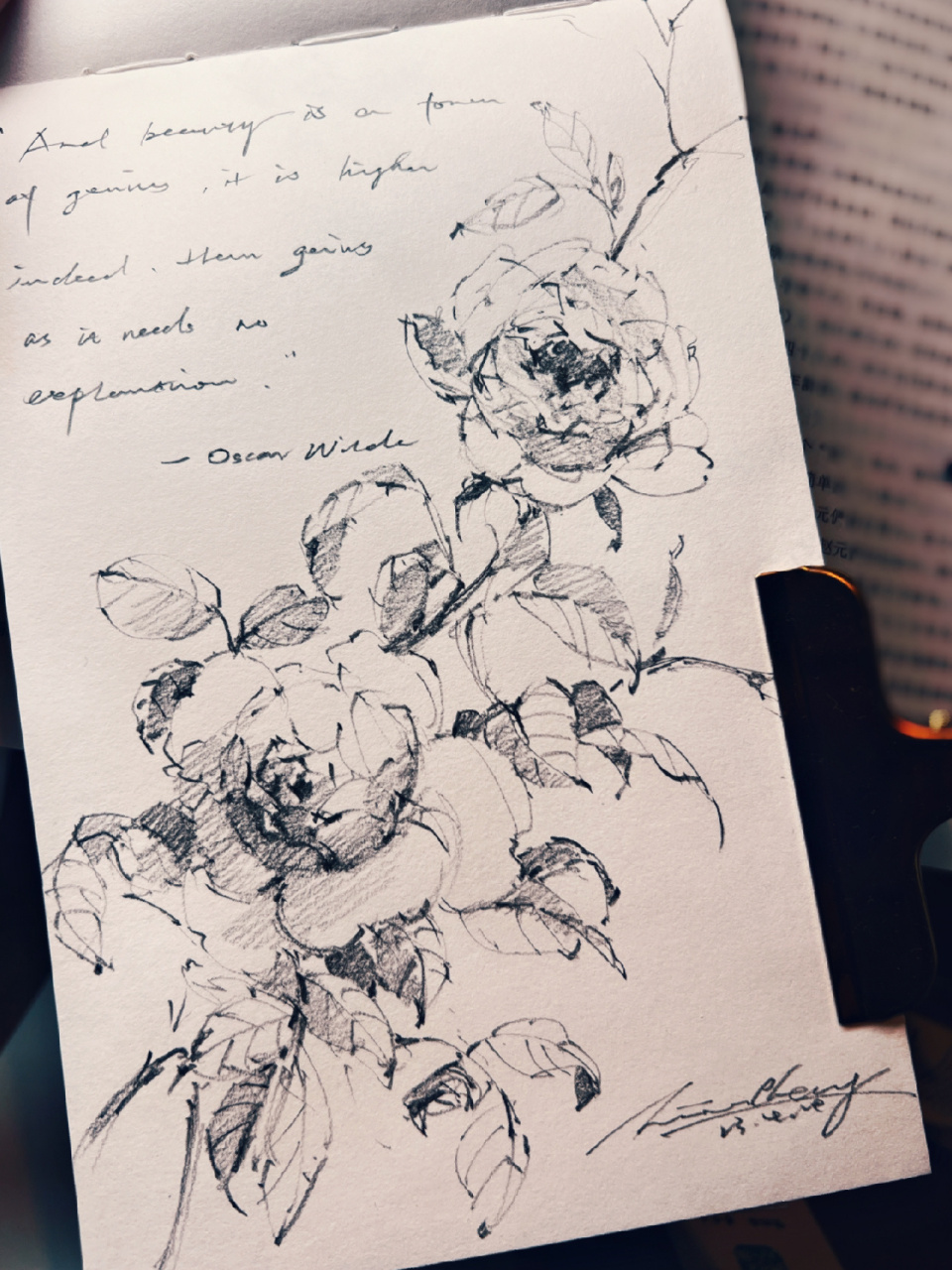 花卉速写 铅笔手绘 蔷薇 线条和文字都是心灵的养分