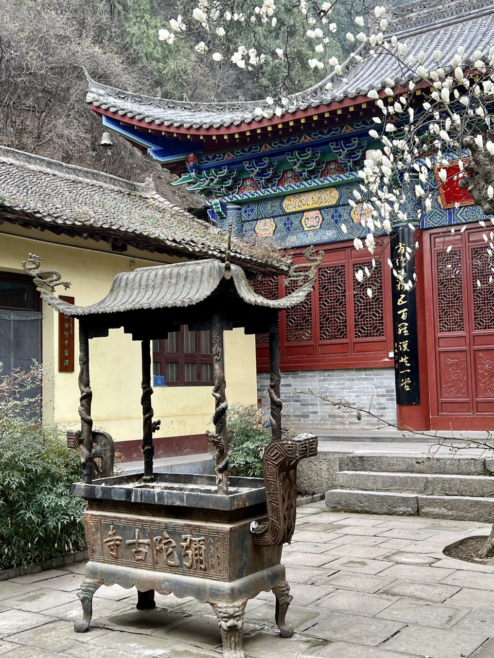 西安弥陀寺|公交可直达南山脚下的千年古刹 "白玉缀枝头,无绿也无愁.