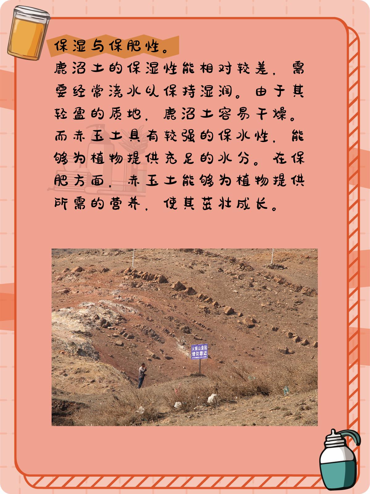 鹿沼土和赤玉土的区别 在园艺和盆栽的世界里,土壤的选择至关重要.