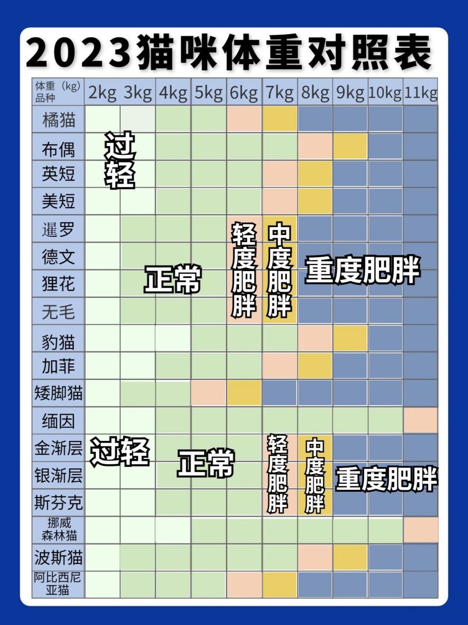 2023貓咪體重對照表!快看你家崽子超重了嗎?