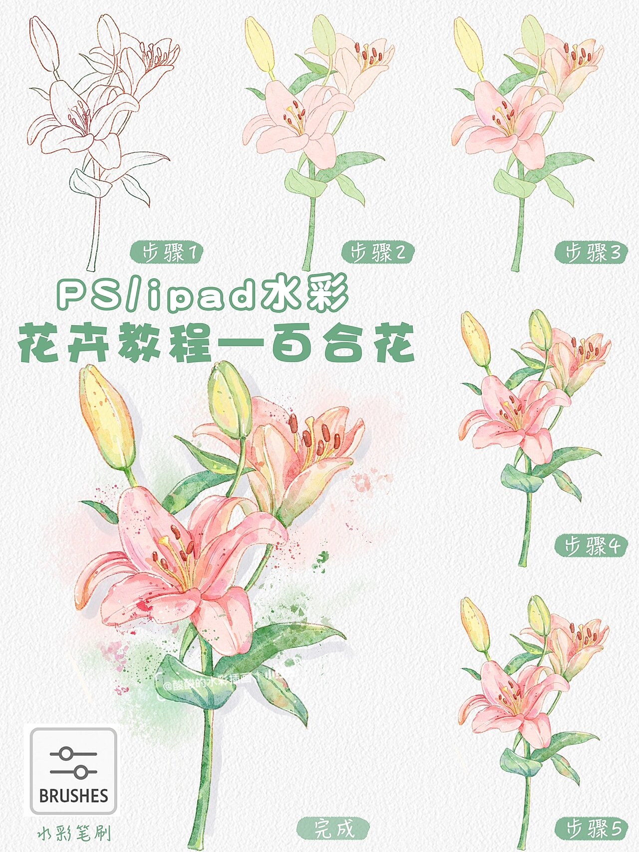 水彩入门|百合花|花卉篇保姆级绘画教程
