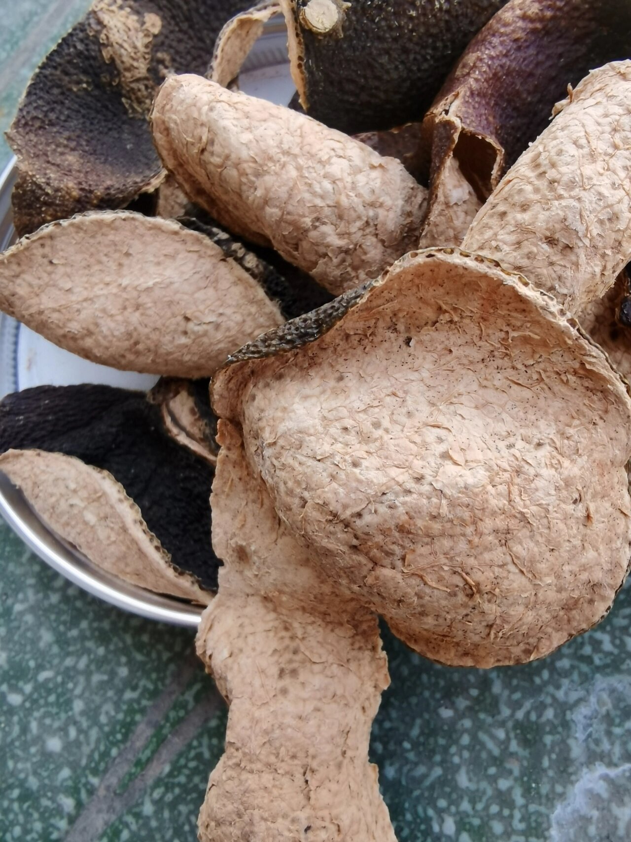 陈皮红曲霉菌 一款香气霸道,口感清甜的2011年东甲原枝青皮,这两天翻