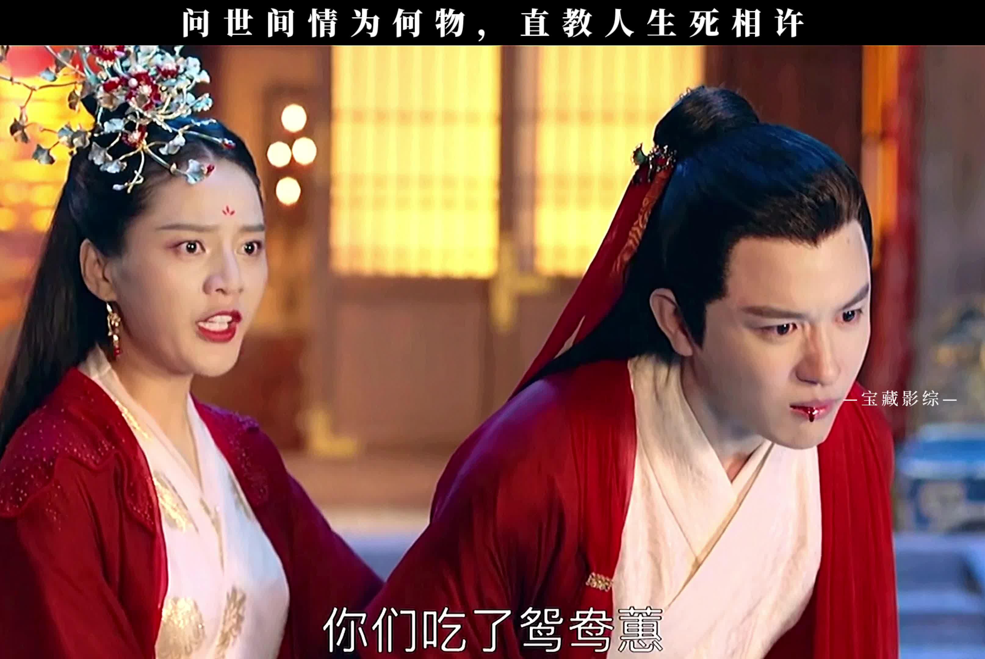 长白灵蛇传虐妻一时爽追妻火葬场