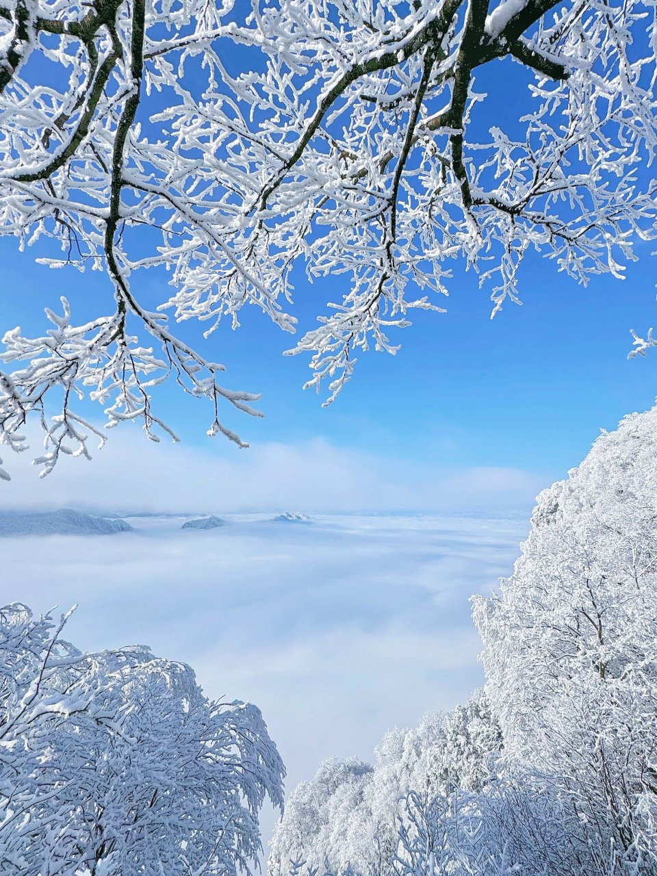 高山晶莹雪图片