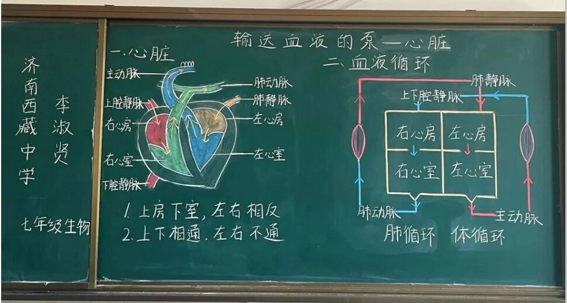 表里的生物板书设计图图片