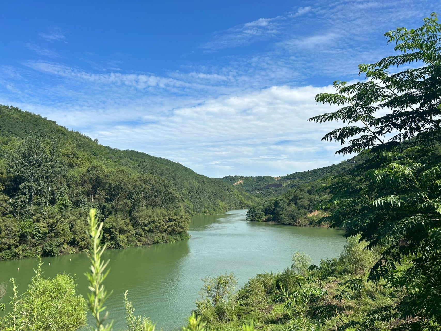 西安 鲸鱼沟竹海风景区 来吸氧啦00