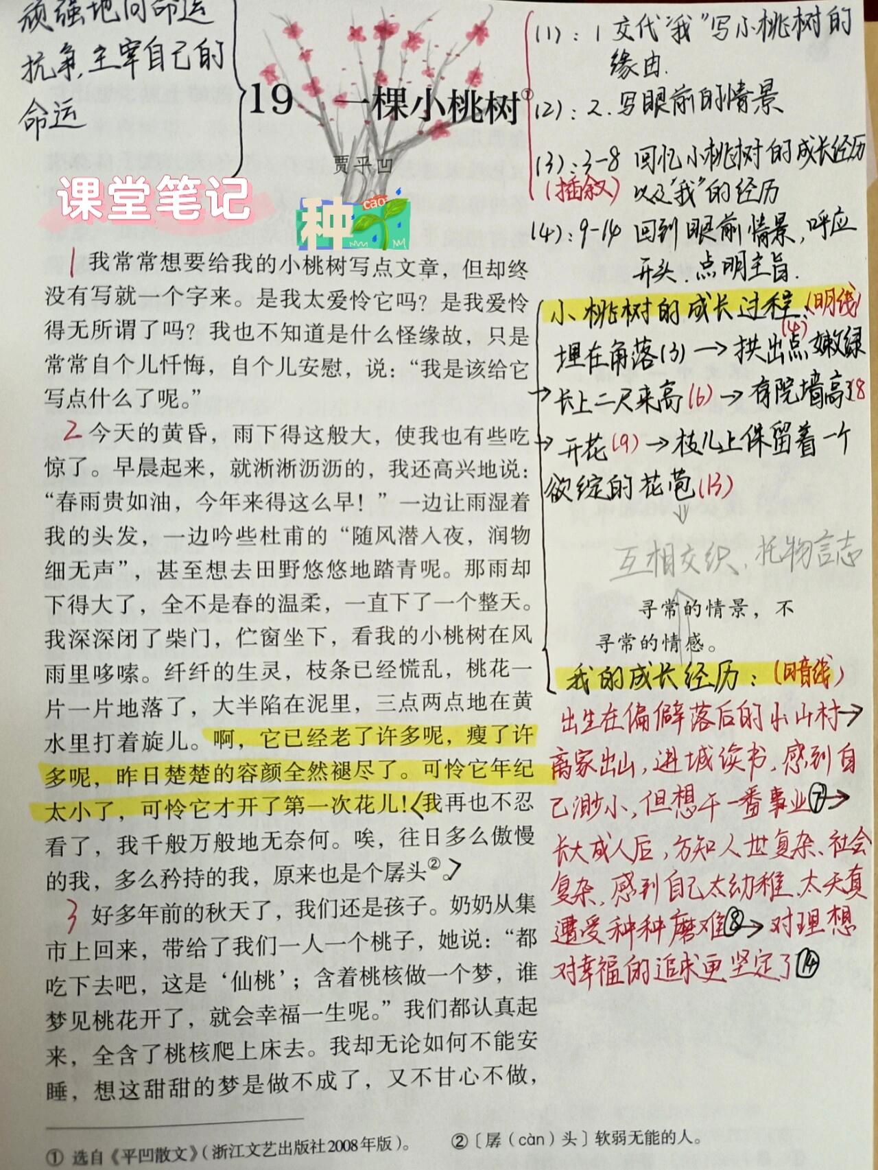 一棵小桃树课文笔记图片