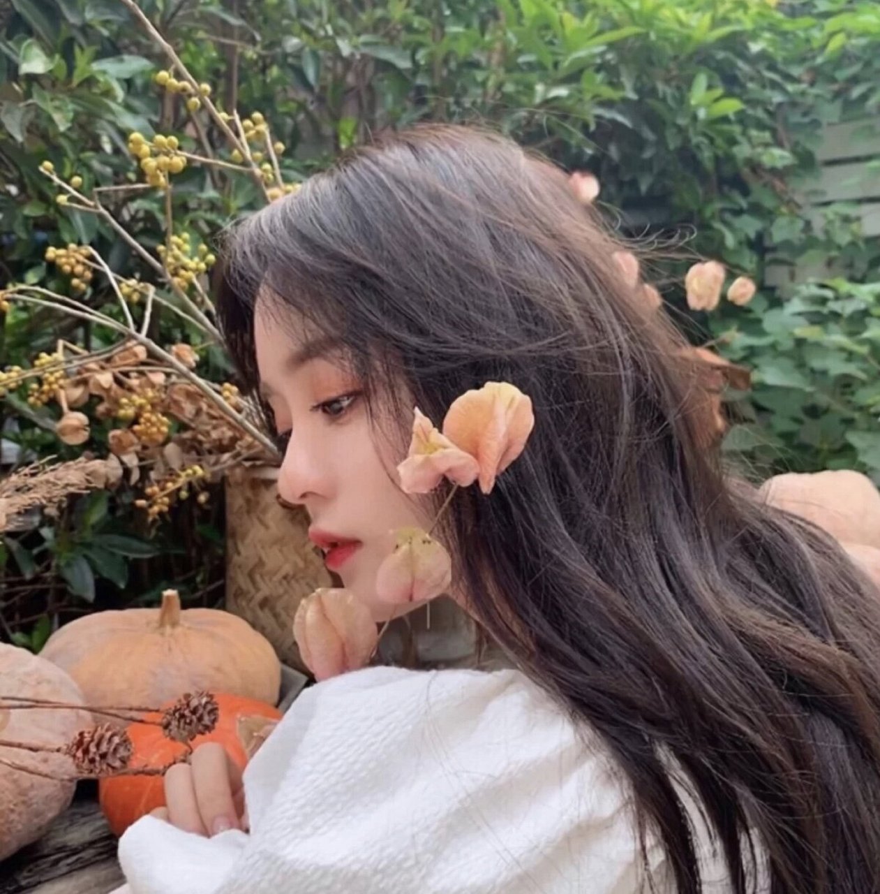 小清新 小文艺 女生头像 🍃 拿走不谢哈˃̵͈̑ᴗ˂