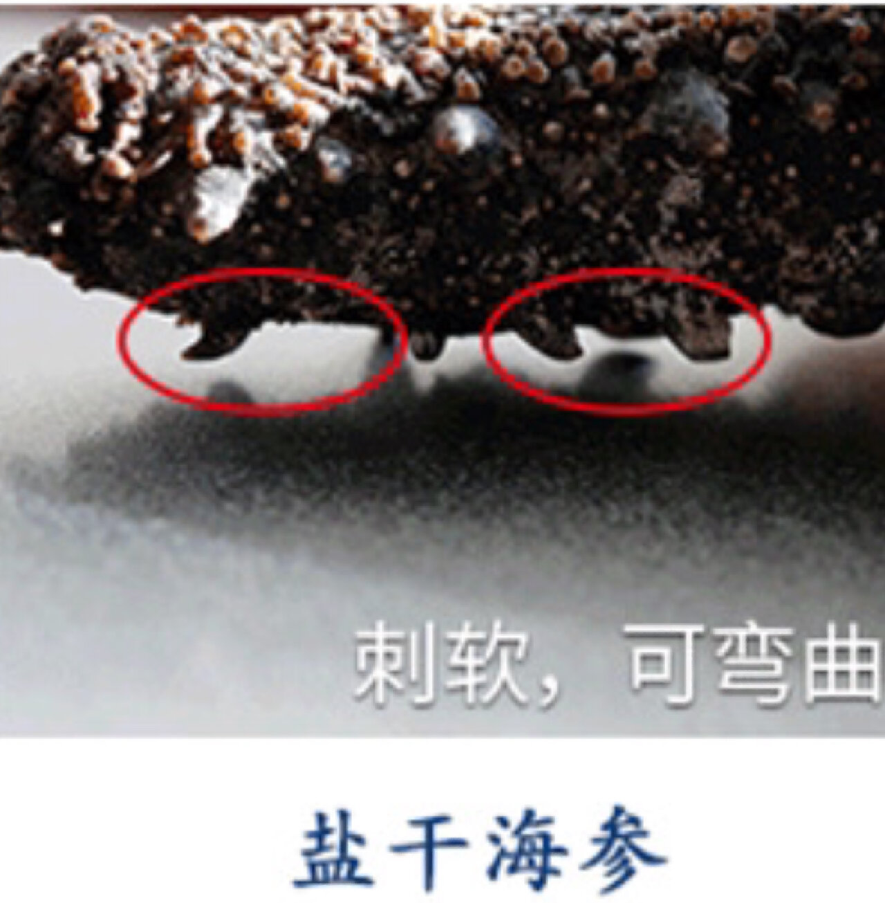 如何区分劣质海参呢