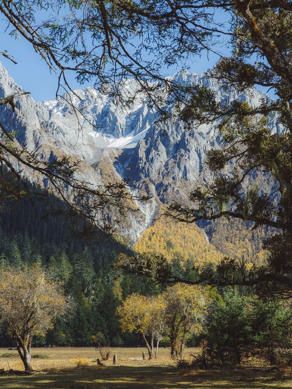 川西高原虽然不及新疆和西藏广阔,但也不乏辽阔的风景.