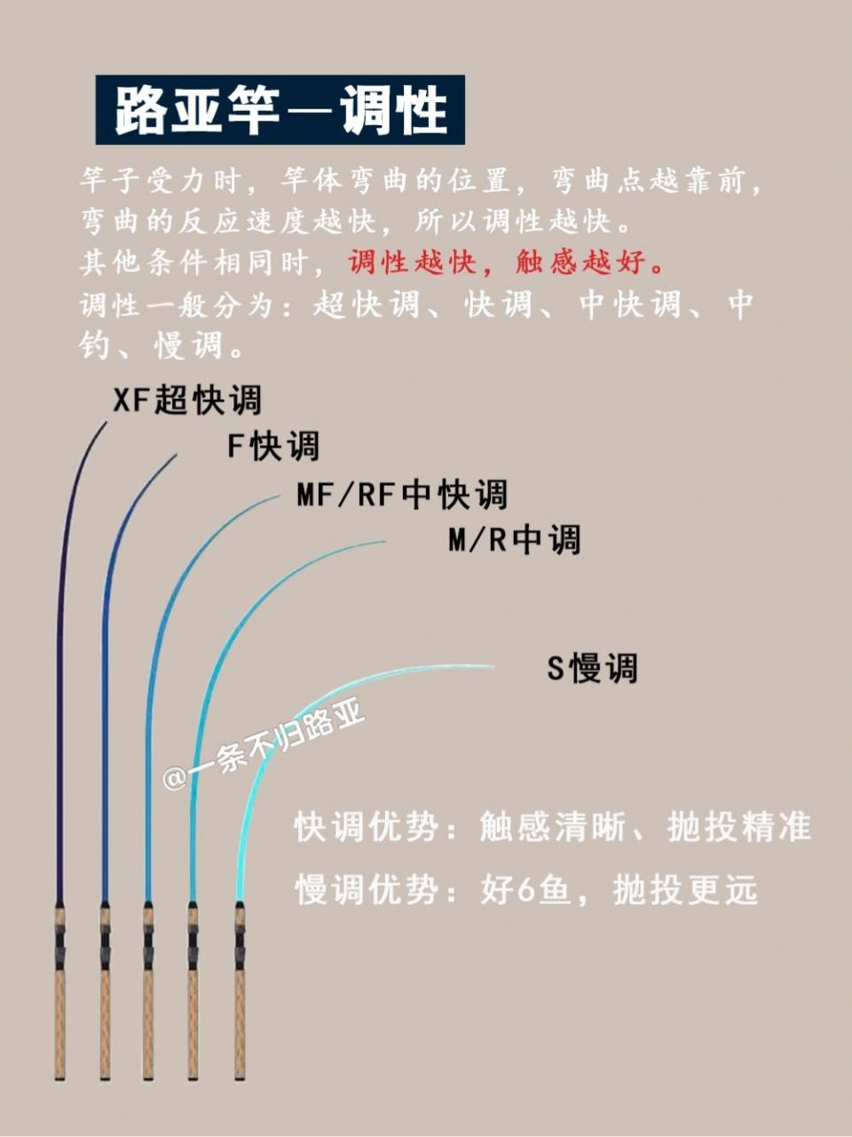 我的钓鱼日记|路亚竿调性硬度长度解读 一篇被各种抄作业的作品,同步