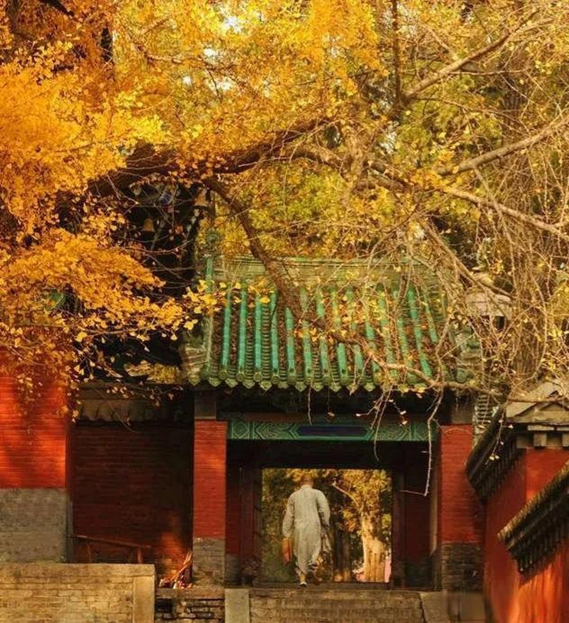 近日,王石拜访少林寺,释永信表示没有空,派徒弟释延淀接待了他.