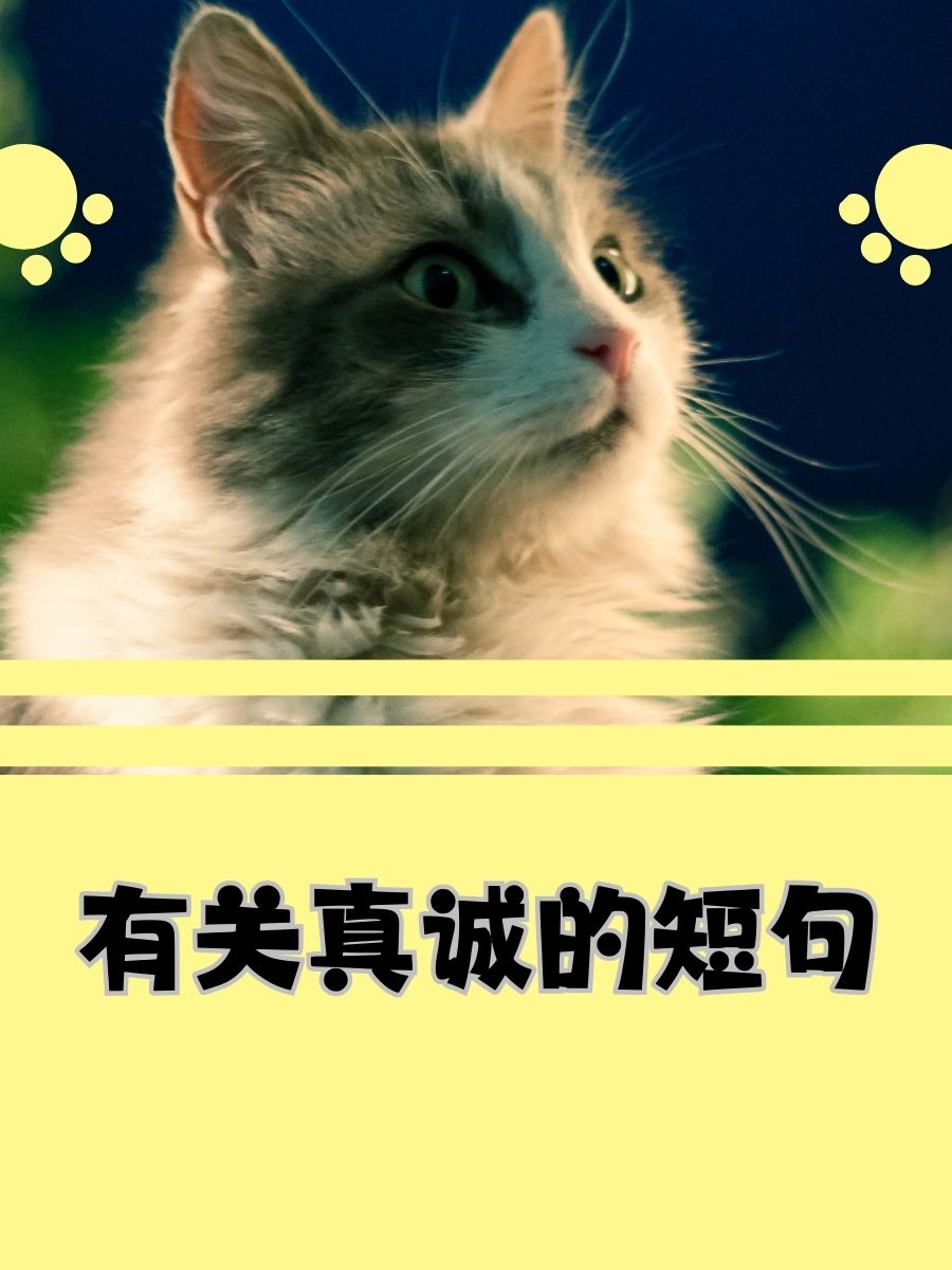 世界复杂,真诚却永远简单. 真诚的话语,比宝石还要珍贵