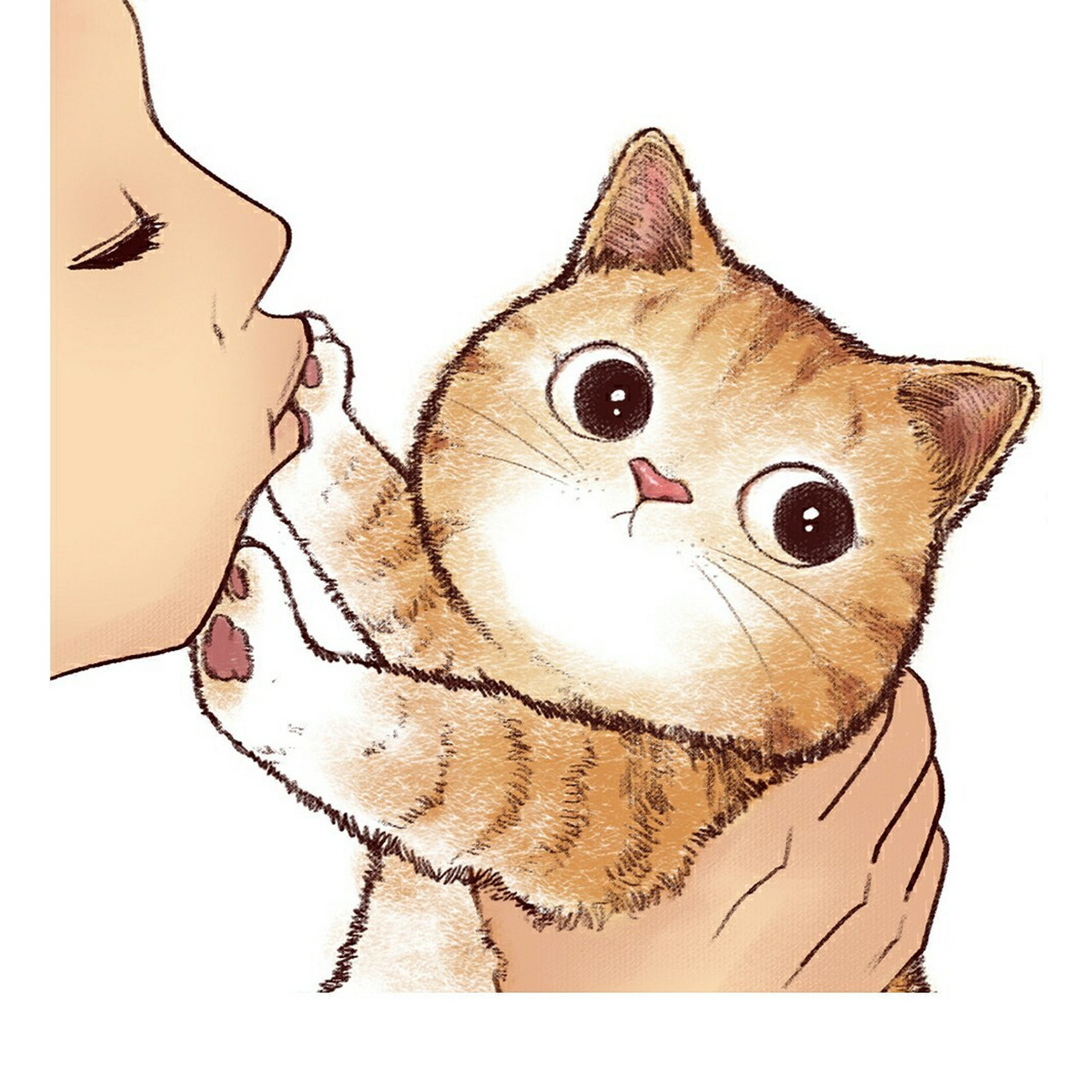 《铲屎官请自重》第一季 元宵节快乐分别是灰狸花  奶牛猫 加菲 折耳