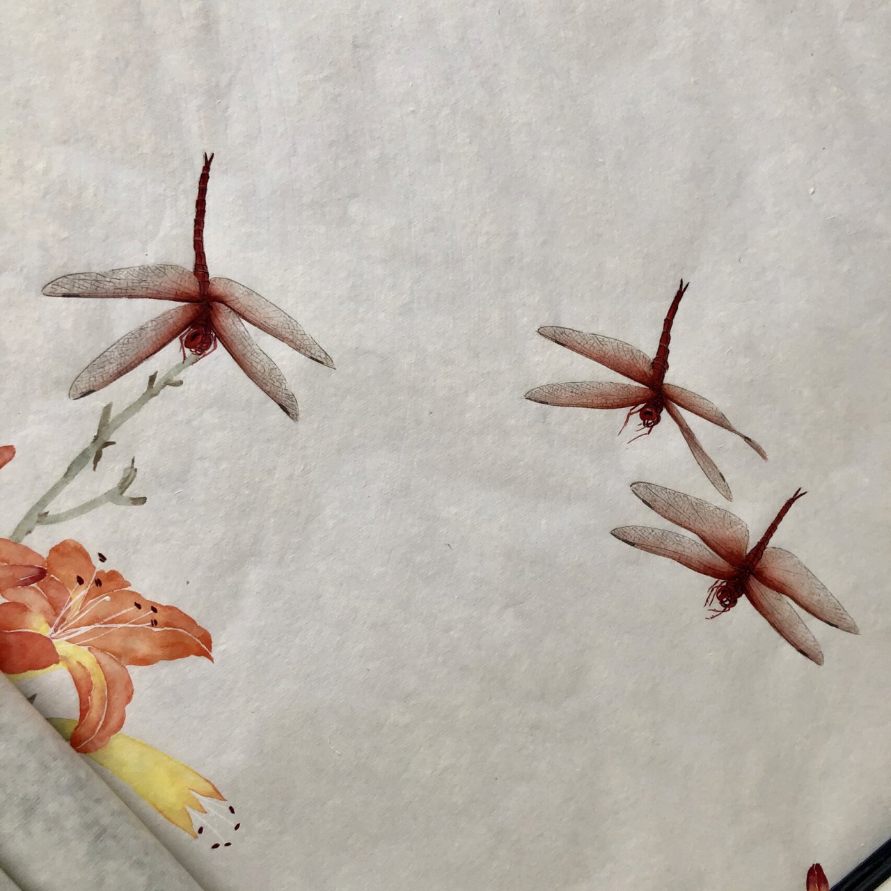 蜻蜓的画法 蜻蜓的画法:找到合适画面的蜻蜓白描稿尽量选姿态不太一样