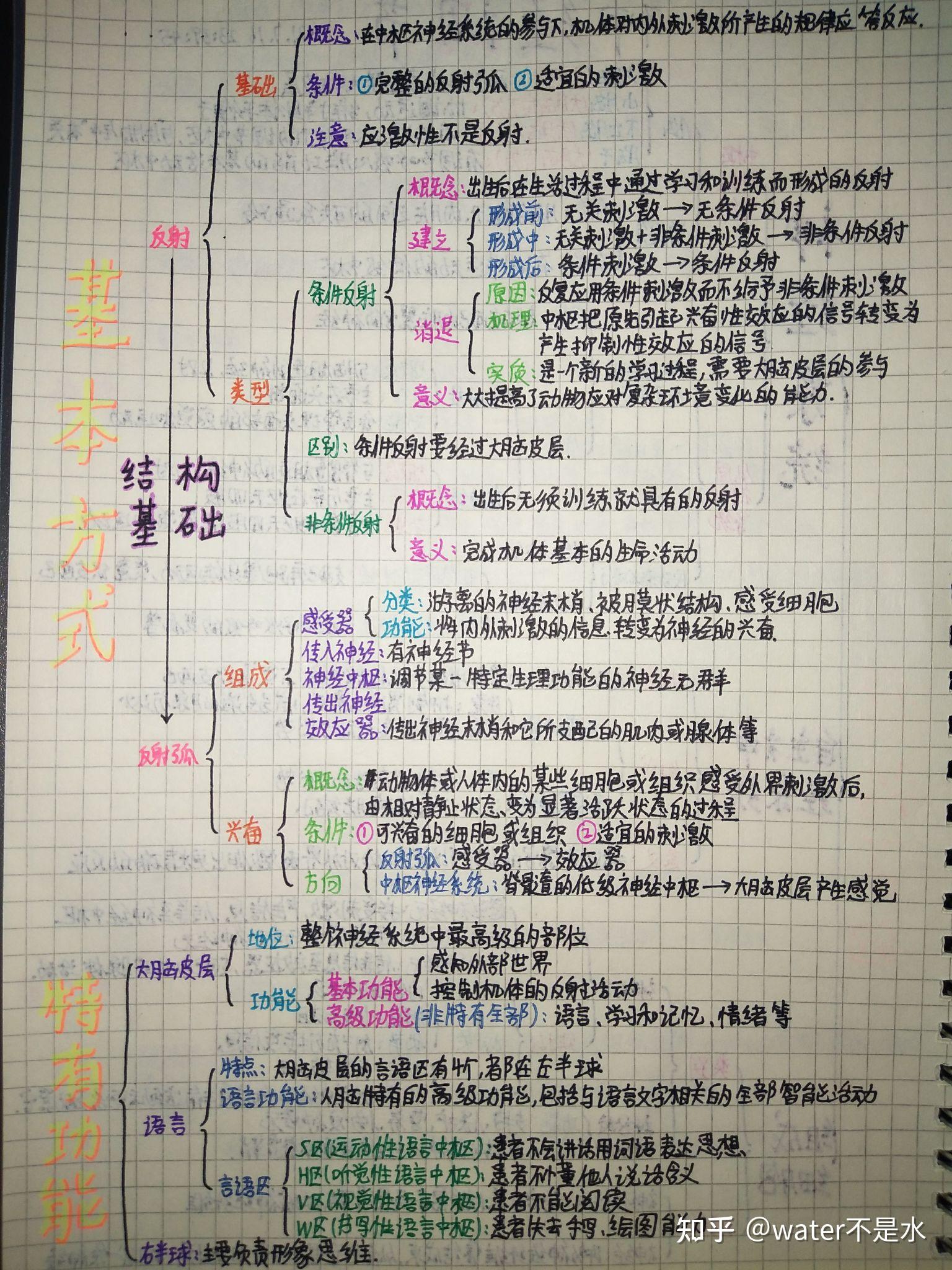 生物神经调节思维导图图片