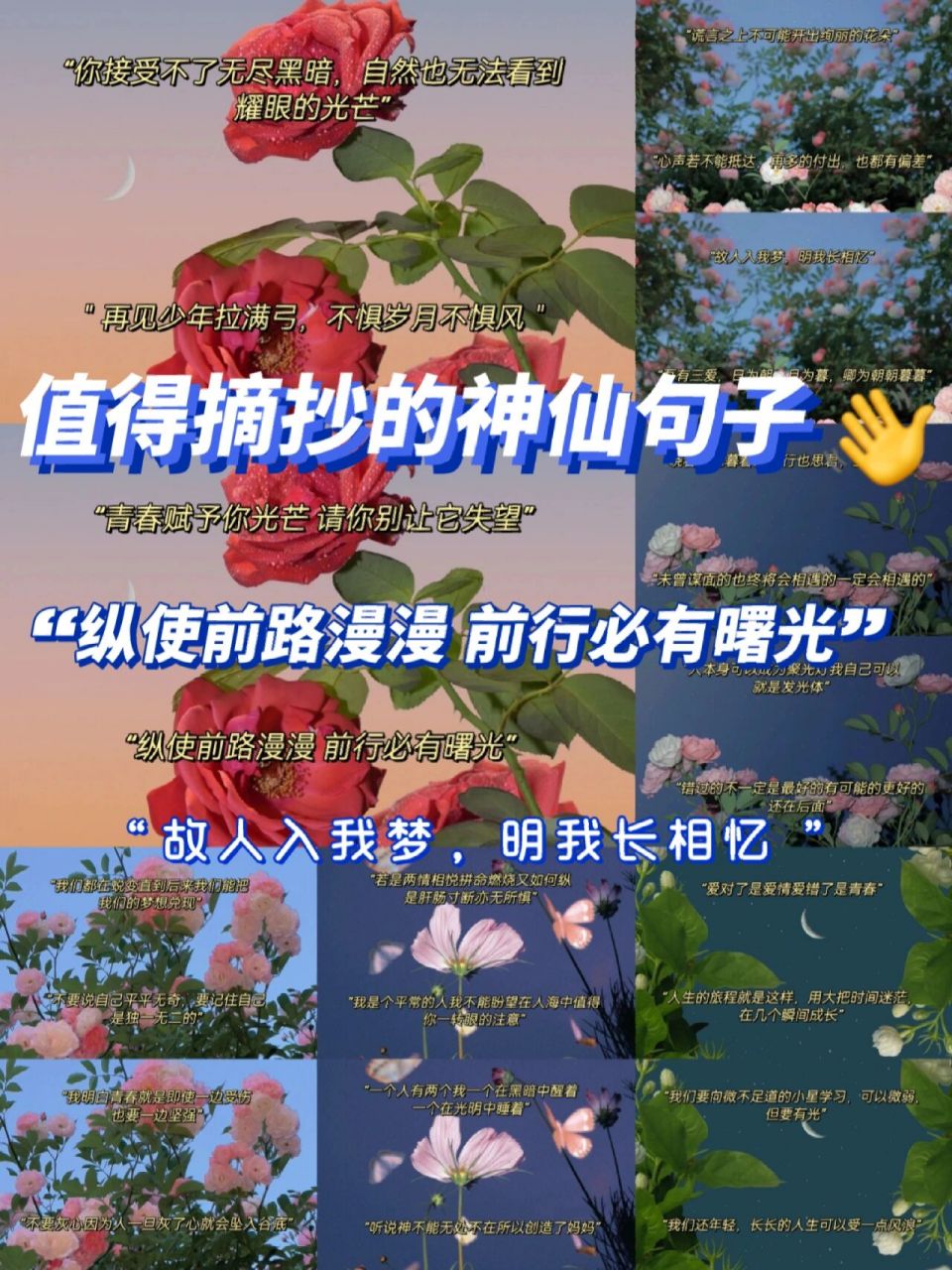 值得摘抄的神仙句子图片