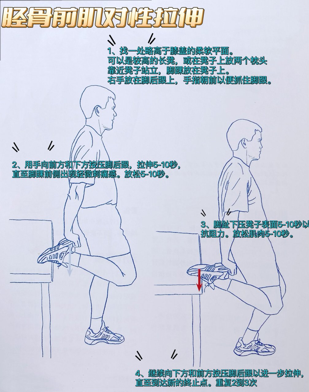 小腿部拉伸动作图解图片