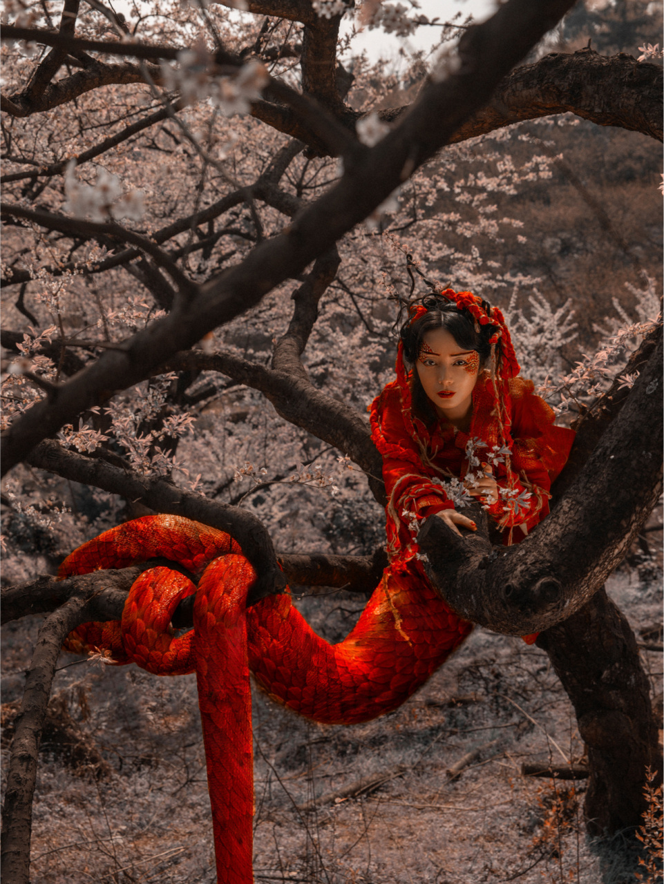 《山海经》之 蝡蛇 有灵蛇在树上,名曰 蝡蛇,木食 尾巴和服装不是后期