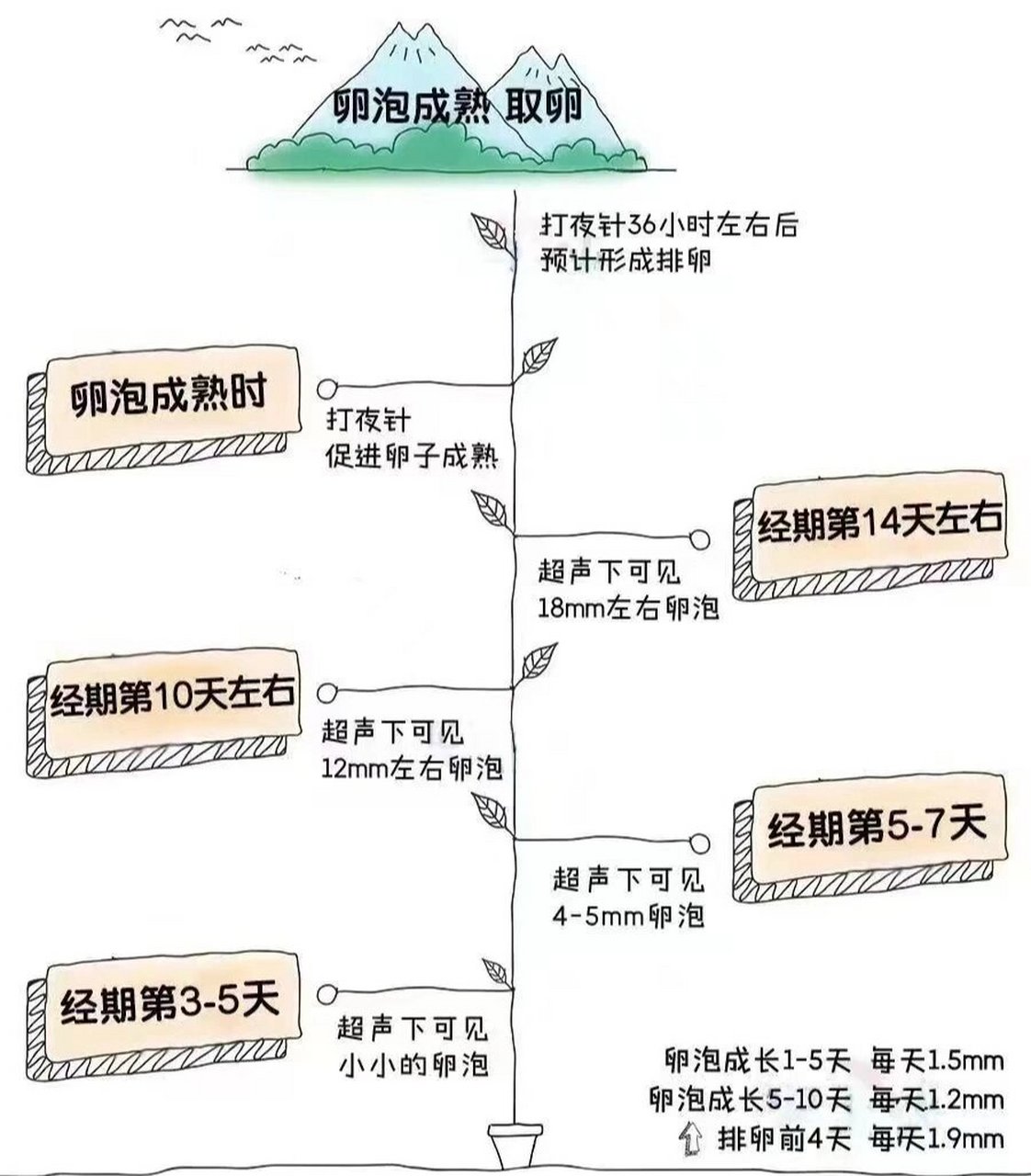 取卵6个成功率怎么样