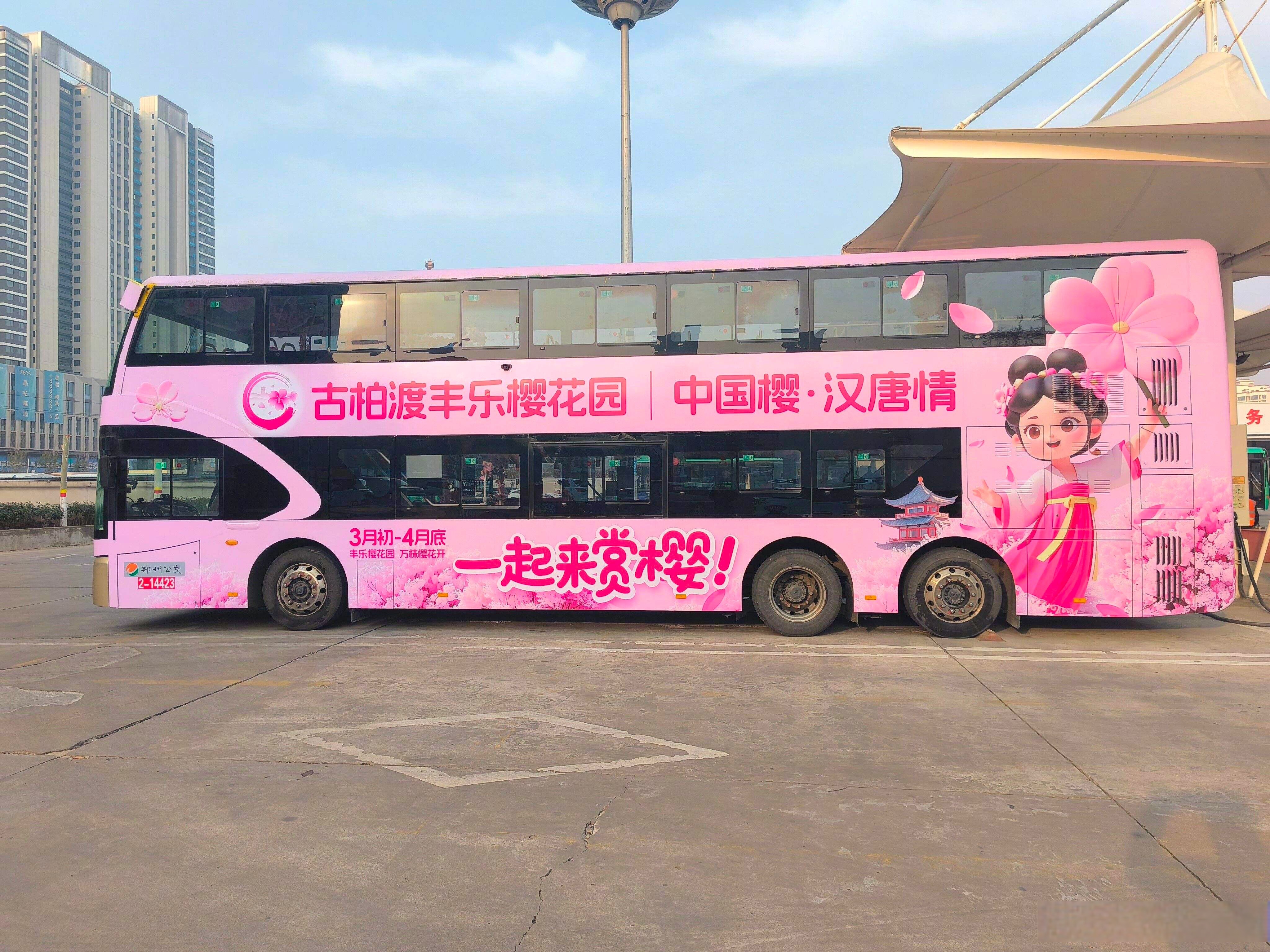 郑州公交车广告浪漫巴士古柏渡赏樱专线双层公交车上面印着奶茶广告