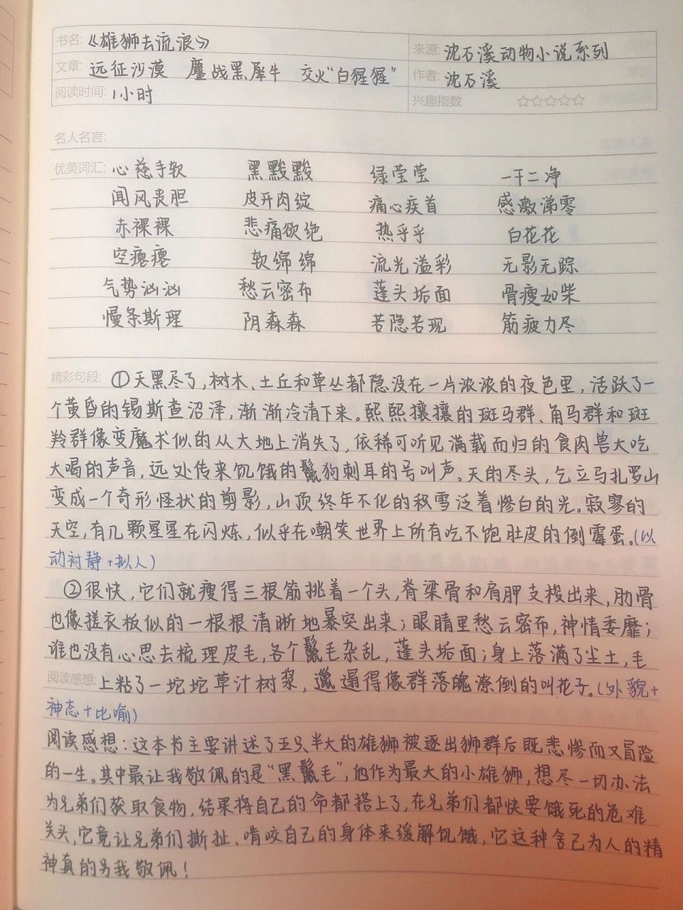 摘抄《雄狮去流浪》 9499:掌握(grasp) 尚の物中性笔0.