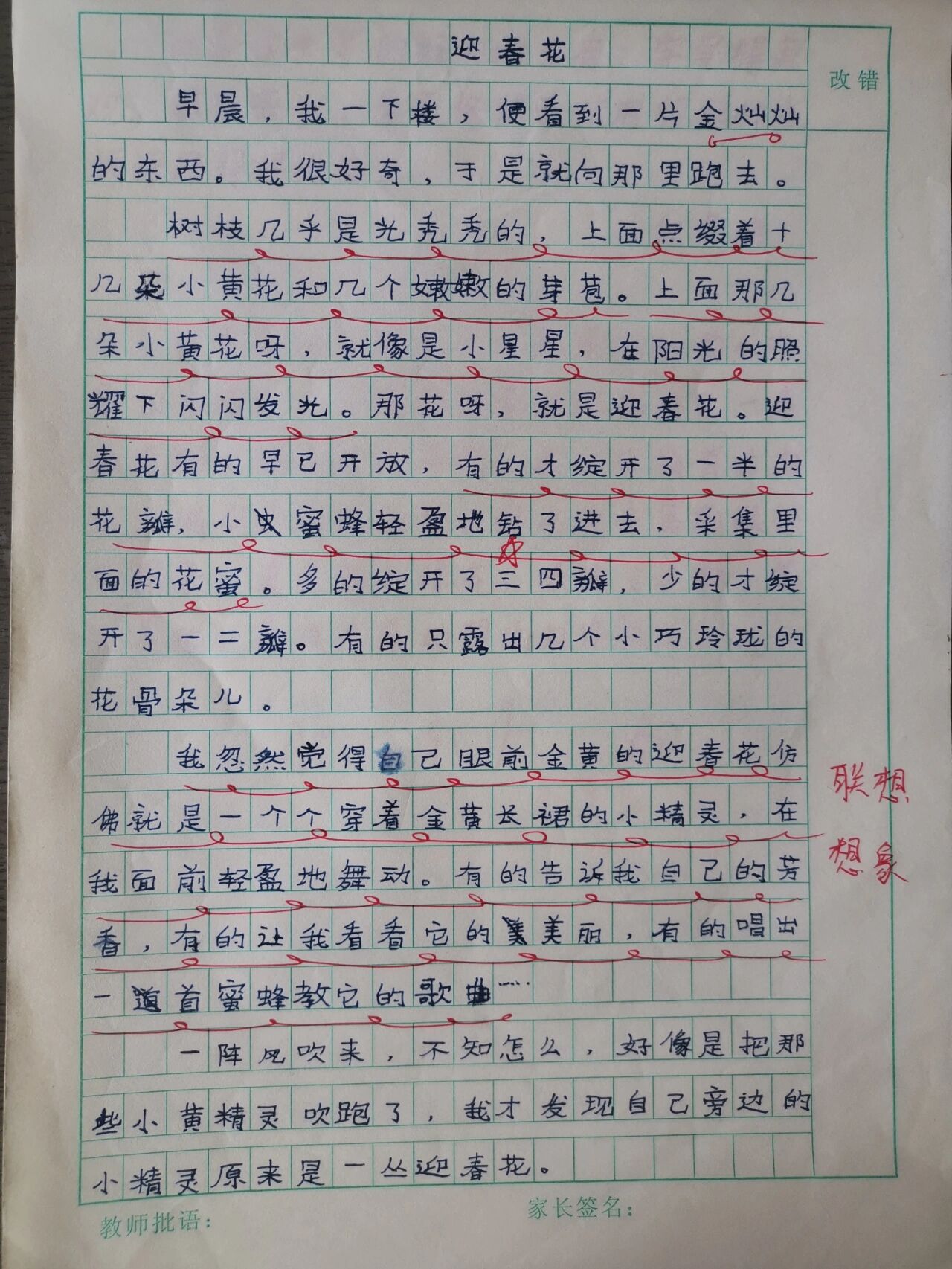 三年级写的迎春花