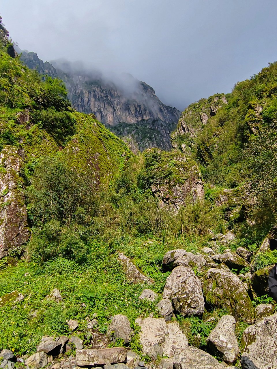 大牯牛山 | 山是昨天爬的,人是今天没的 说了就有 大牯牛山 !