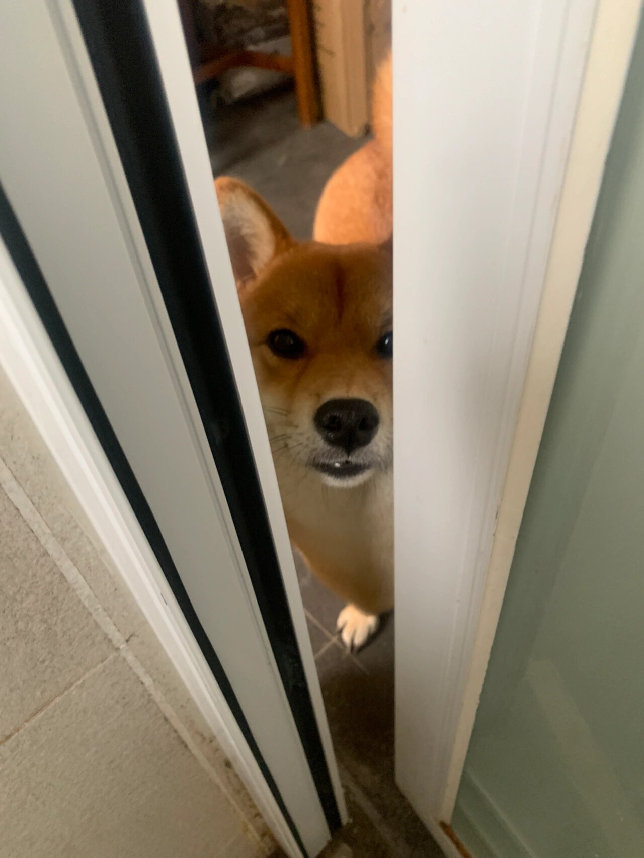 歇后语:门缝里看人-把人看扁了