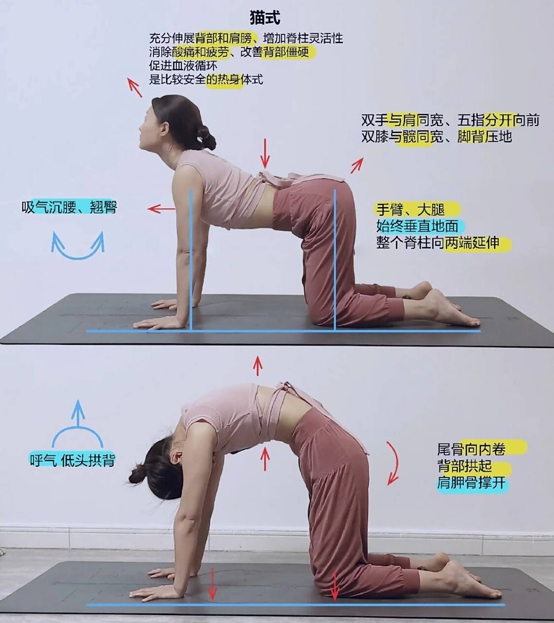 瑜伽72式——猫式 瑜伽72式--猫式通通要点 先做伸展,后做弓背 脊柱