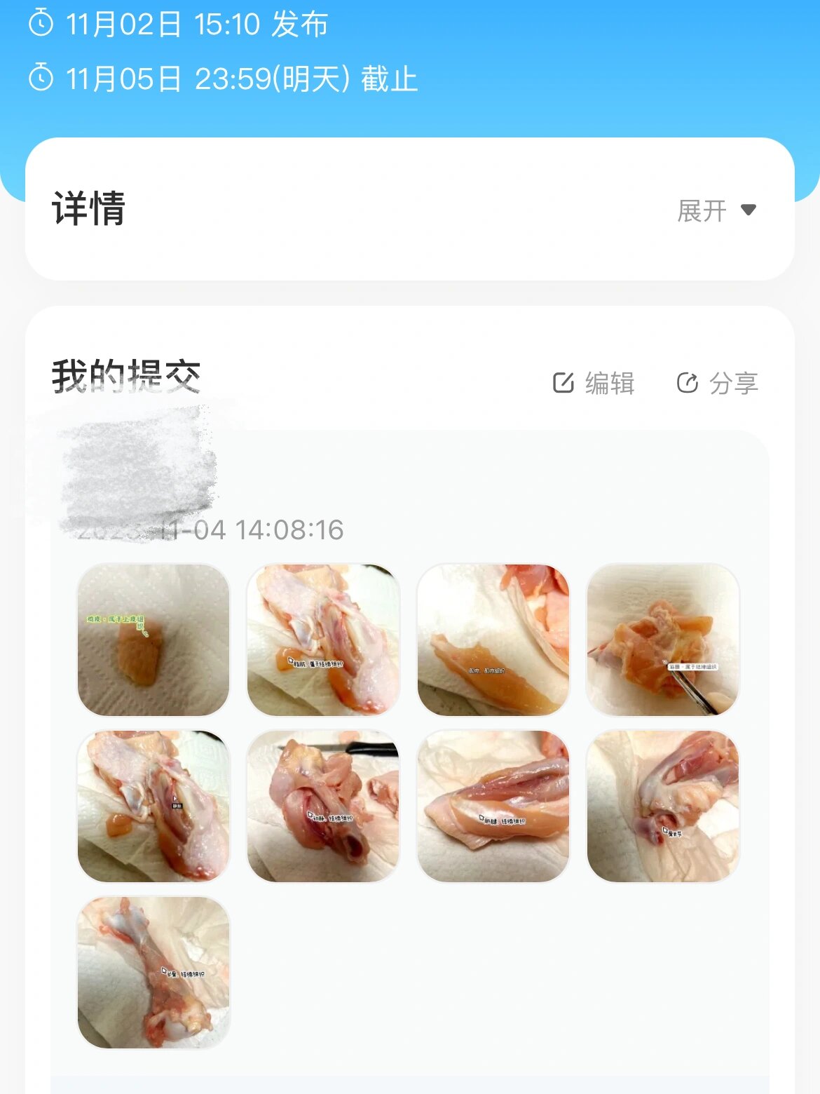 鸡翅生物解剖图图片